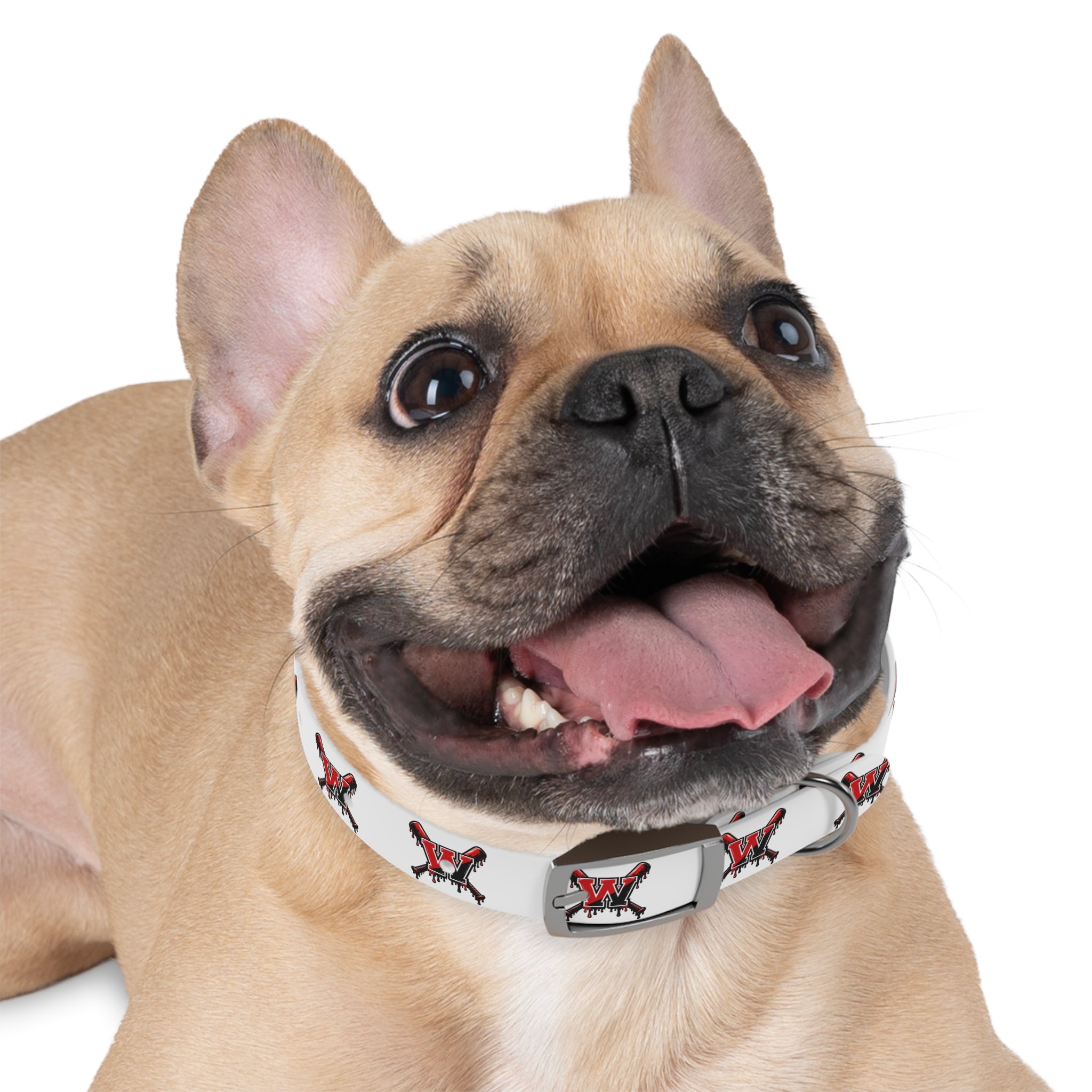 Winchester Baseball Drip 'W' Dog Collar