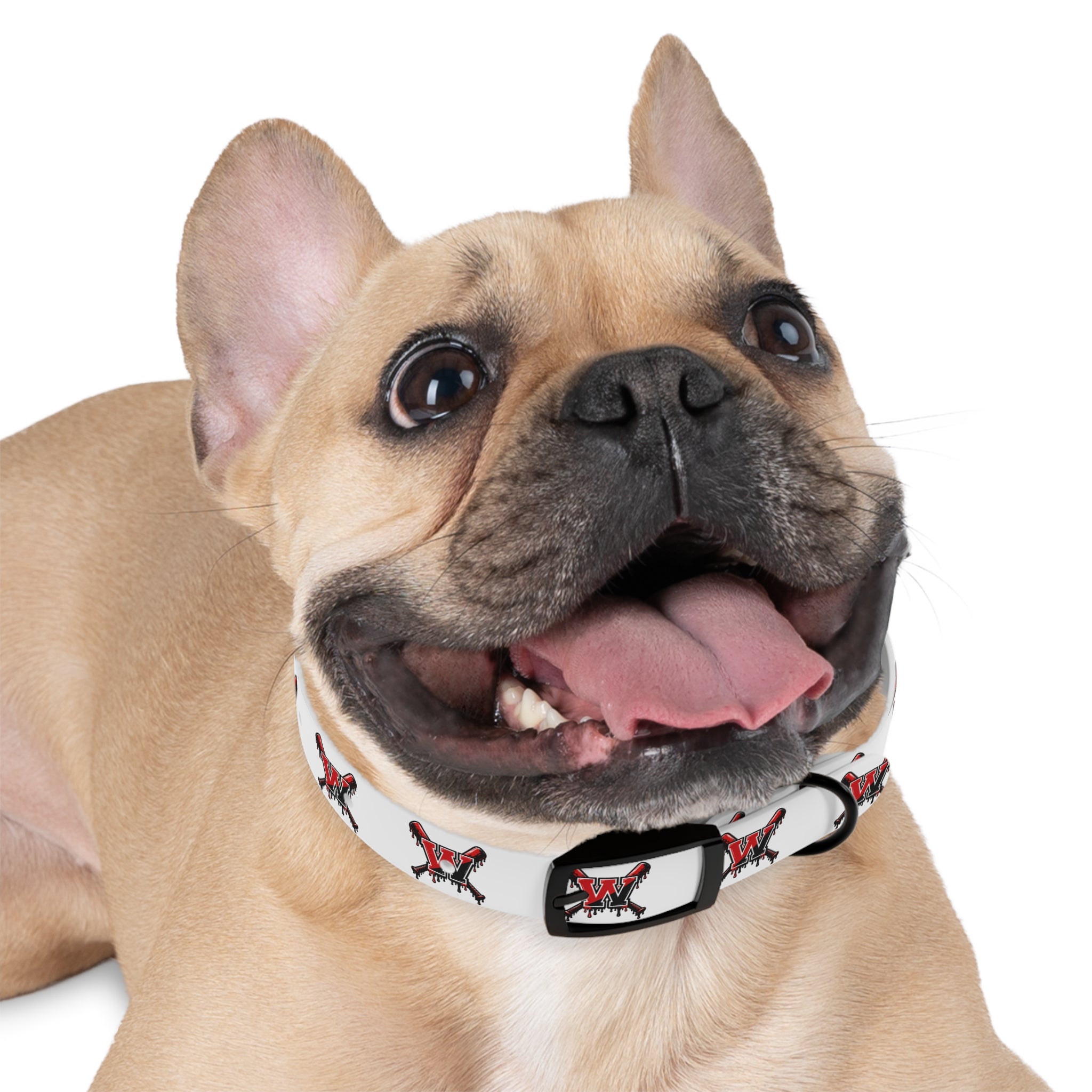 Winchester Baseball Drip 'W' Dog Collar